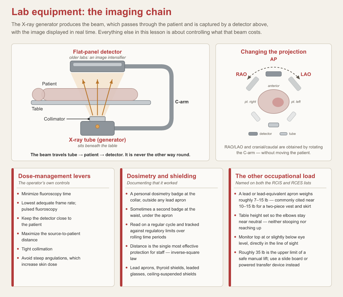 Cath lab imaging chain with the X-ray tube and collimator beneath the table, the patient on the table, and the flat-panel detector above, plus a C-arm rotation figure showing how RAO and LAO projections are obtained without moving the patient, and lists of dose-management levers, dosimetry badge placement, and lead-apron weights of roughly 7 to 15 pounds.